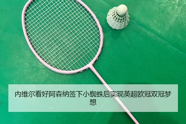 内维尔看好阿森纳签下小蜘蛛后实现英超欧冠双冠梦想